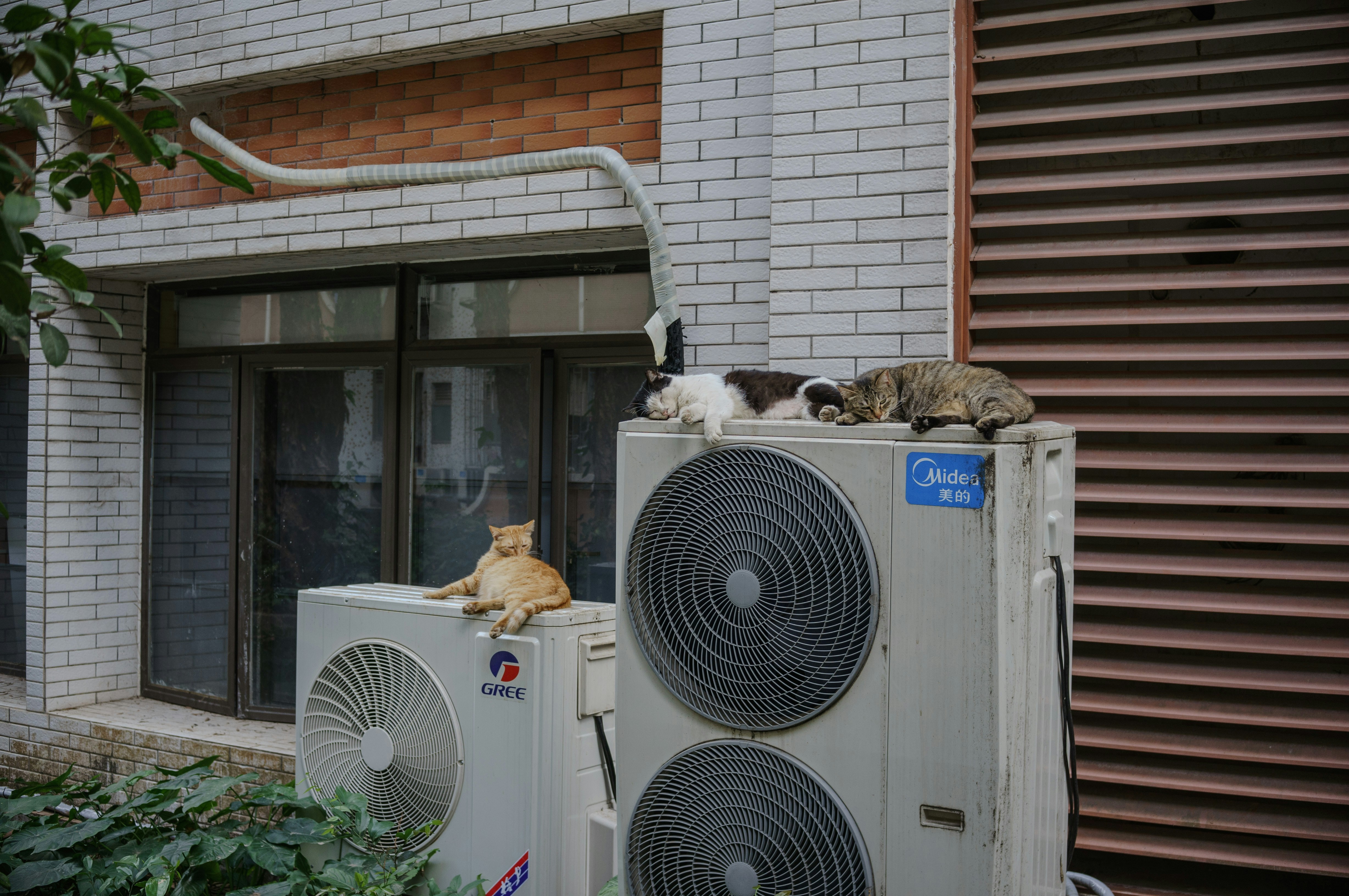 two industrial heaters outside with cats sleeping on top