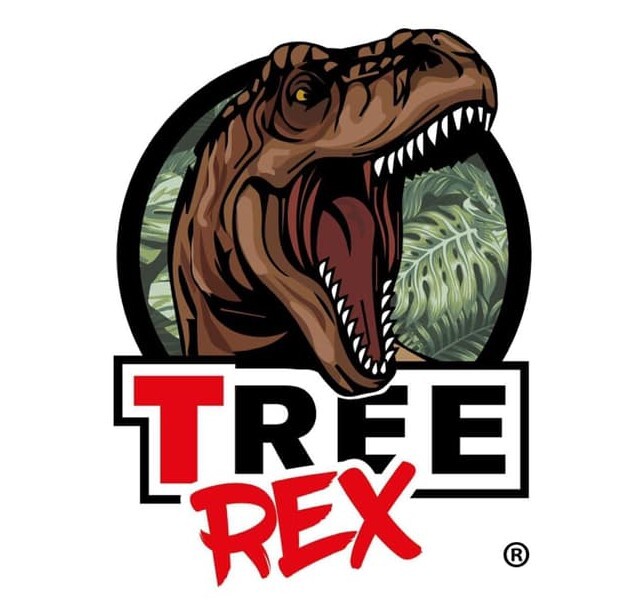 Tree Cutting Service Based In Wales