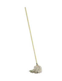 Kentucky Mop