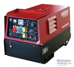 TS300 Diesel Arc Welder