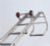 Extendable Roof Ladder