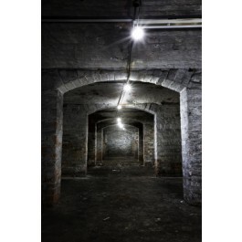 Festoon String 240V/110V