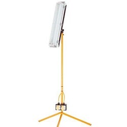Floodlamp Flourescent Electric Hire