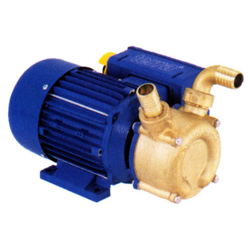 Pump Fuel Transfer 25mm 240V