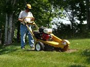 Petrol Stump Grinder