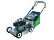 19" Petrol Rotary Push Lawn Mower