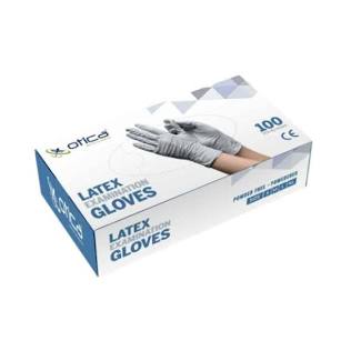 Latex Gloves - Powder Free - Box (100) - Large