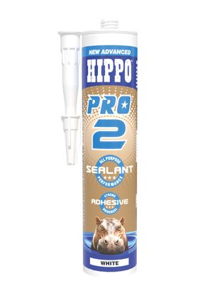 Pro 2 Sealant & Adhesive White 310ml