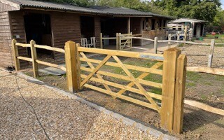 Softwood Field gates