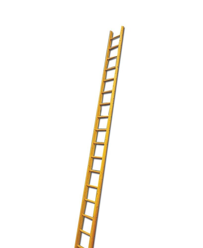 Pole Ladder