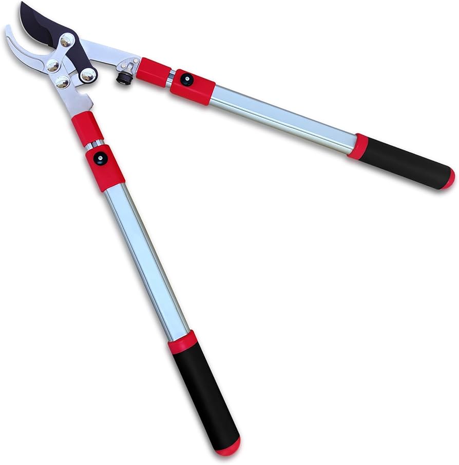 Tree Lopper/Prunner