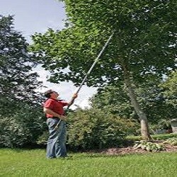 Long Handle Tree Pruner Hire
