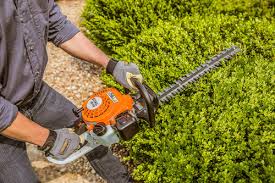 Petrol Hedge Trimmer
