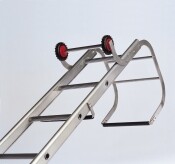 10 Tread Roof Ladder