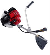 Petrol Strimmer