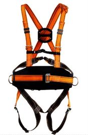 Safety Harness and Lanyard